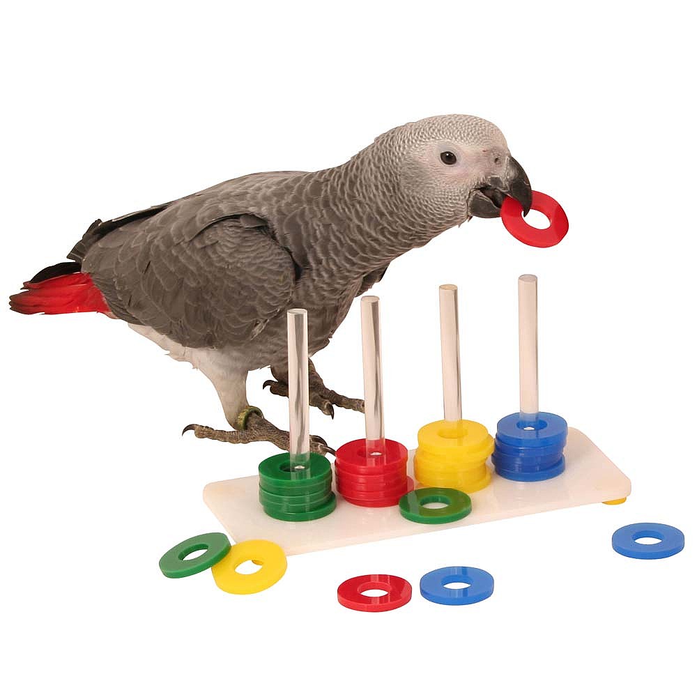 Rings  game bird toy large