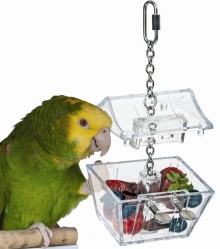 Parrots Treasure