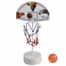 Parrot Basketball Set