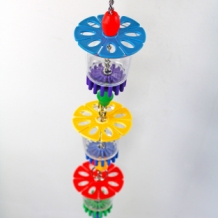 Cheers Parrot Toy