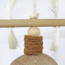 Coconut Treasure Hunt