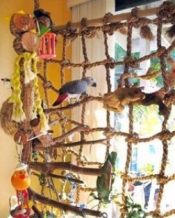 Rope ladder Large sisal