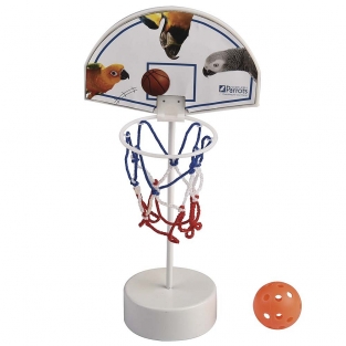 Parrot Basketball Set