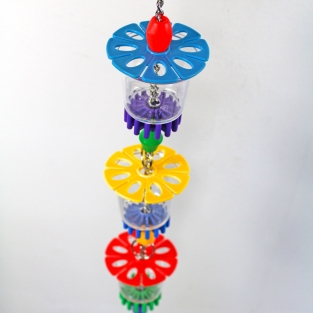 Cheers Parrot Toy