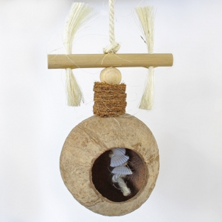 Coconut Treasure Hunt