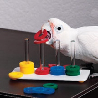 Rings game bird toy small