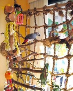 Rope ladder Large sisal
