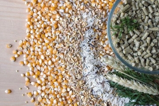 Wagner Pellets High Energy 4,5 kg