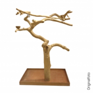 Java Tree AL30111