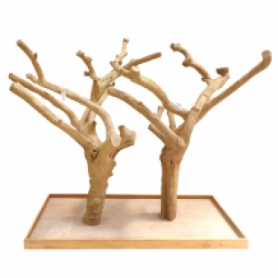 UNIKAT XXL | Java Tree