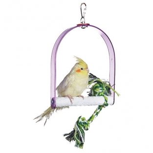 Argo Swing Small